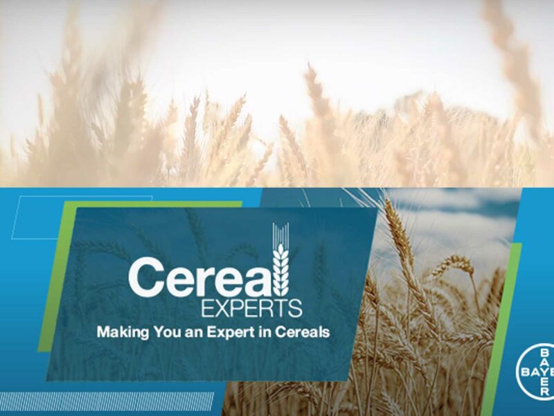 Bayer® Cereal Experts